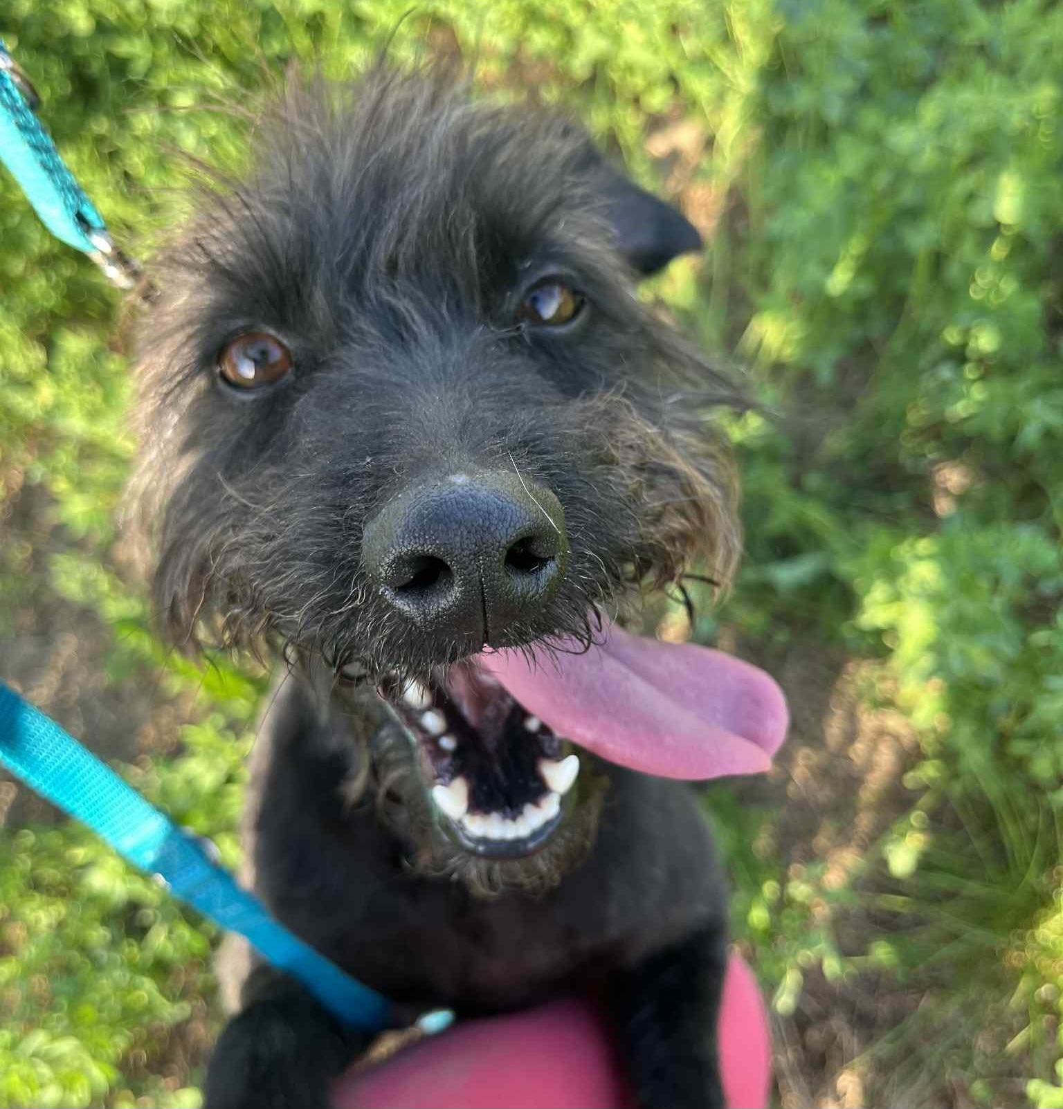 Max